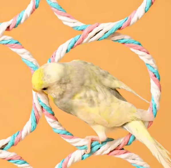 Parrot Toys Woven Cotton Rope Swing,Pet Bird Climbing Toy,Colorful Hanging Rings,New Hanging 9 Rings Parrot Bird Play Toy