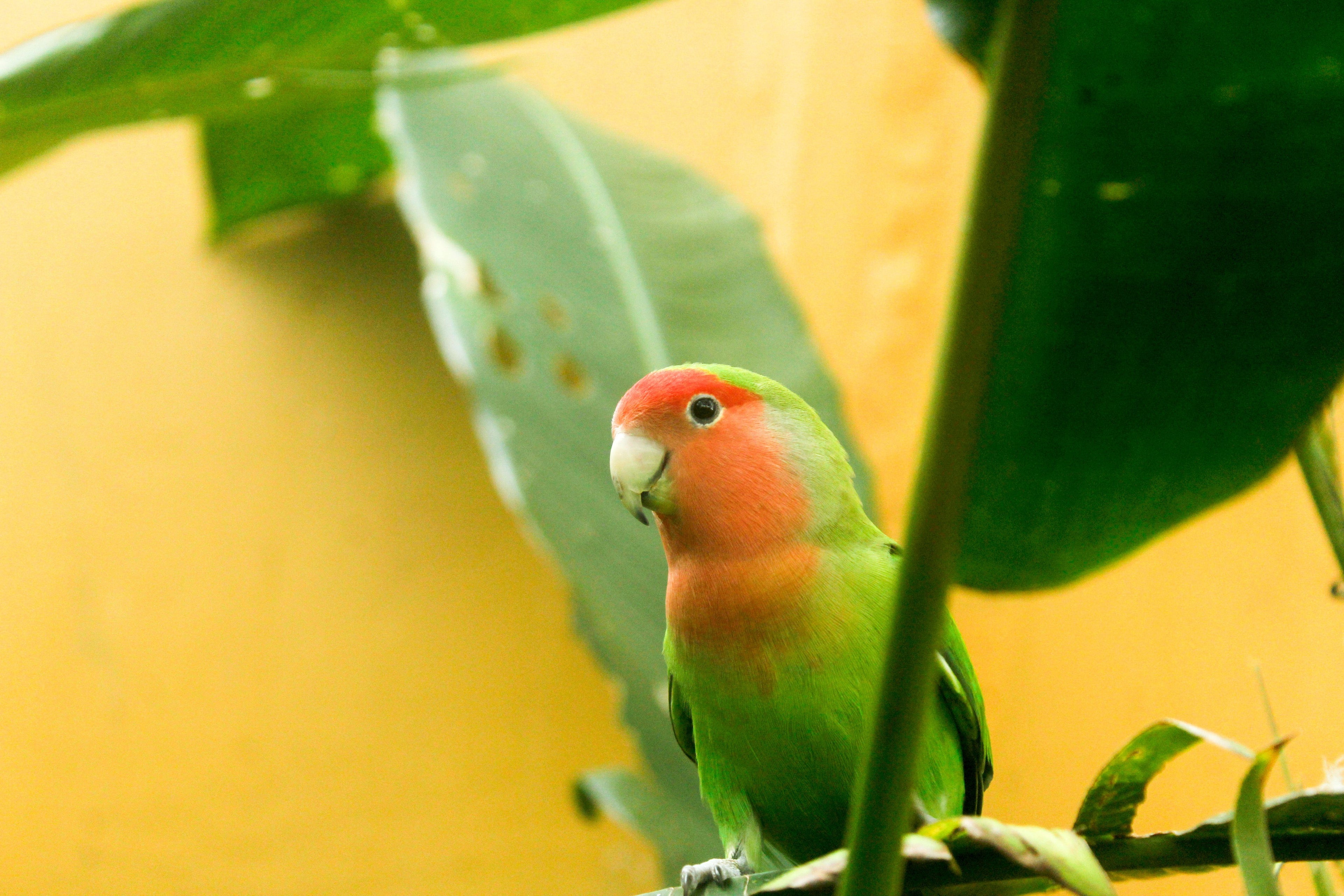 slider image 1621243260e1af0c20-0