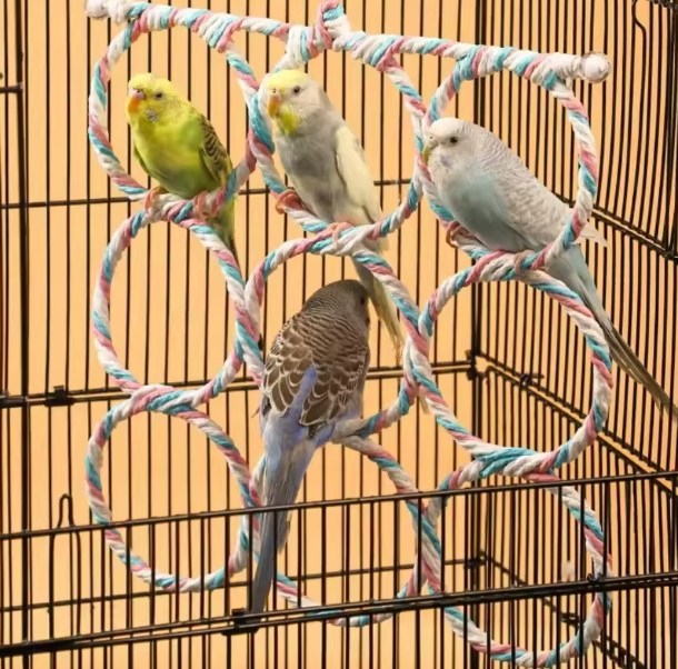 Parrot Toys Woven Cotton Rope Swing,Pet Bird Climbing Toy,Colorful Hanging Rings,New Hanging 9 Rings Parrot Bird Play Toy